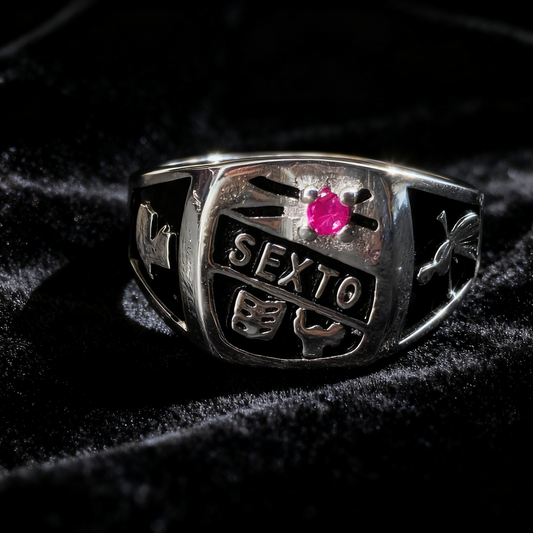 Sexto Grado Insignia en Plata 925 | SXT05