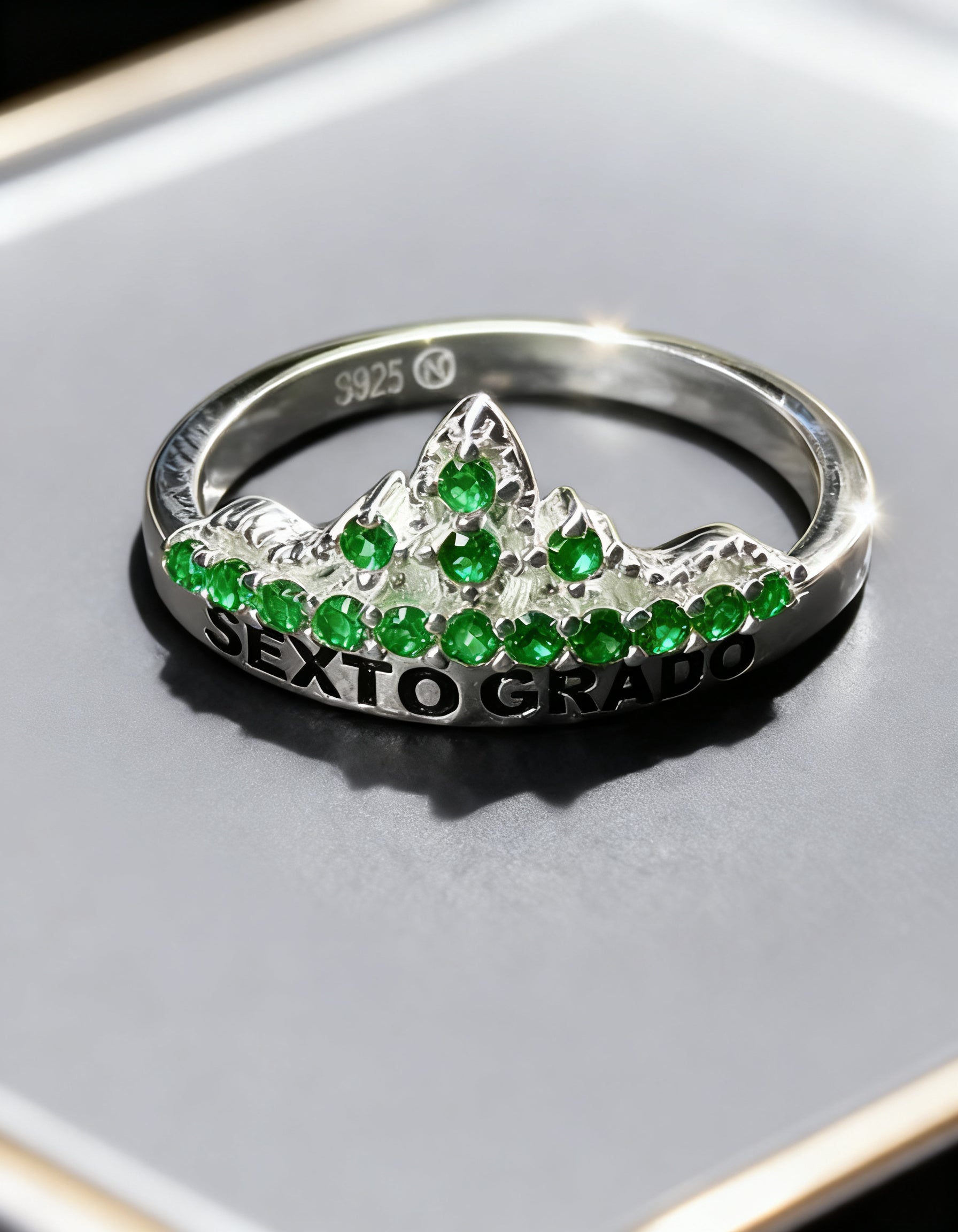 Anillo Sexto Grado SG-SX-F13