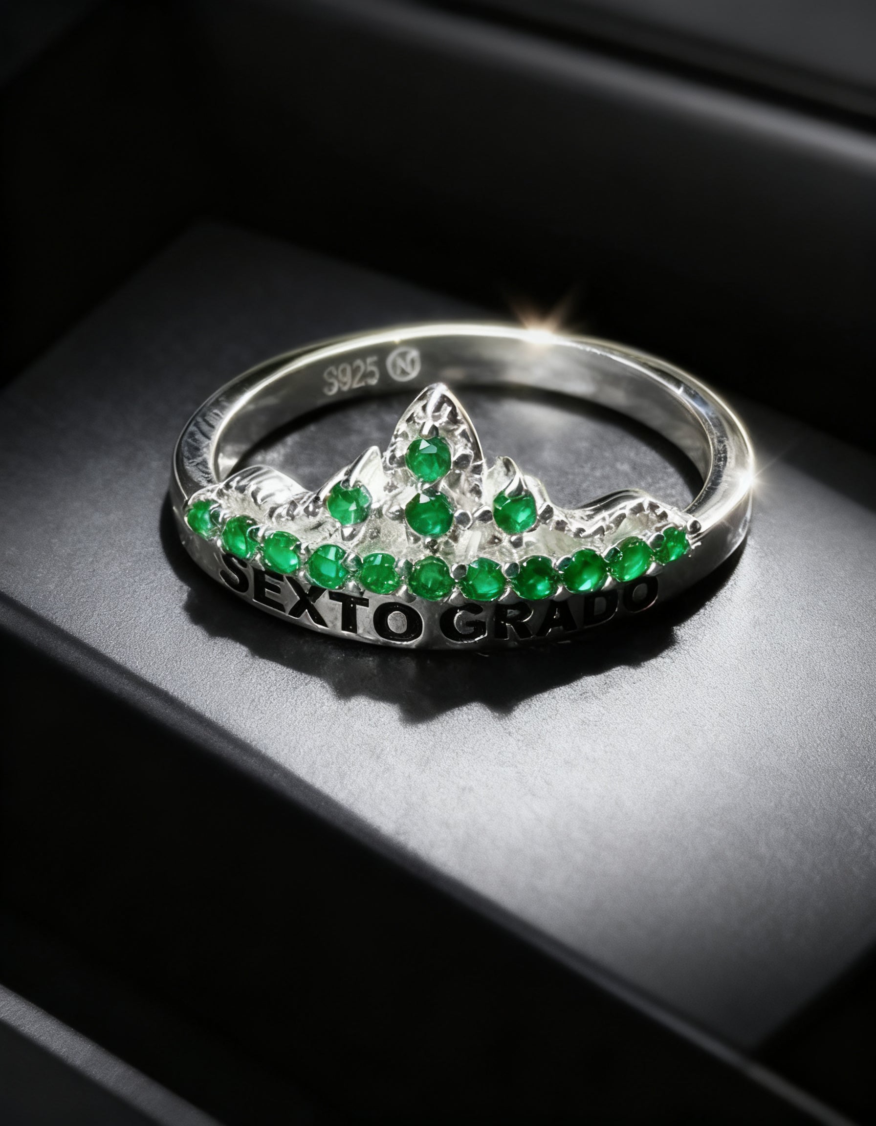 Anillo Sexto Grado SG-SX-F13
