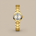 Reloj para Dama RQ'2603B IPY – Dorado con Esfera Clara