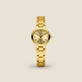 Reloj para Dama RQ'2452 IPY – Dorado con Esfera Champagne