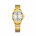Reloj para Caballero RQ'2403G IPY – Dorado con Esfera Plateada