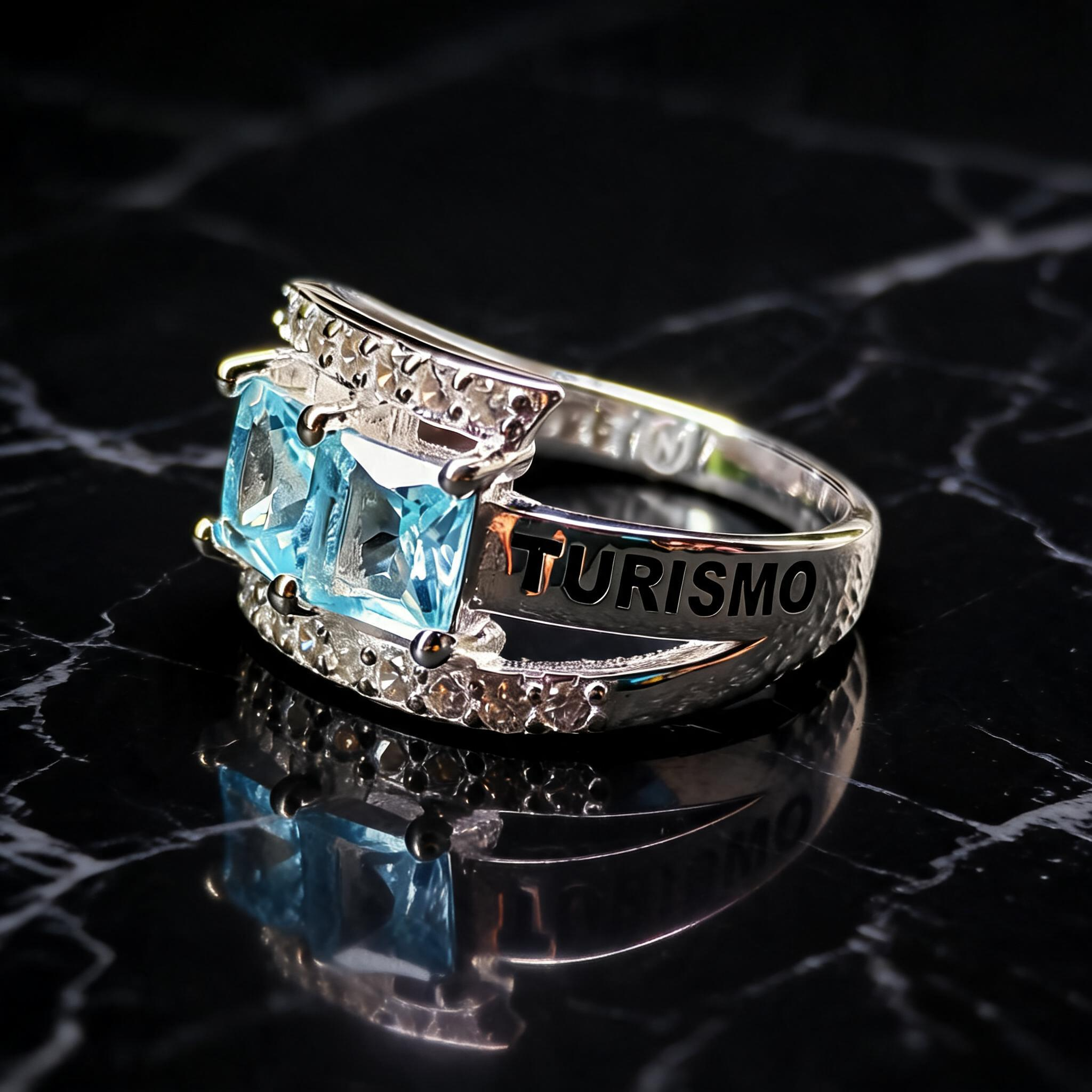 Anillo Hotelería y Turismo 04