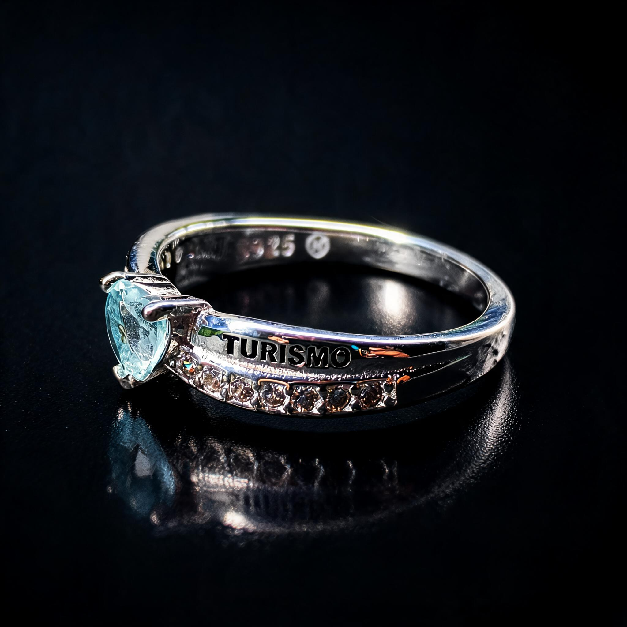 Anillo Hotelería y Turismo 05