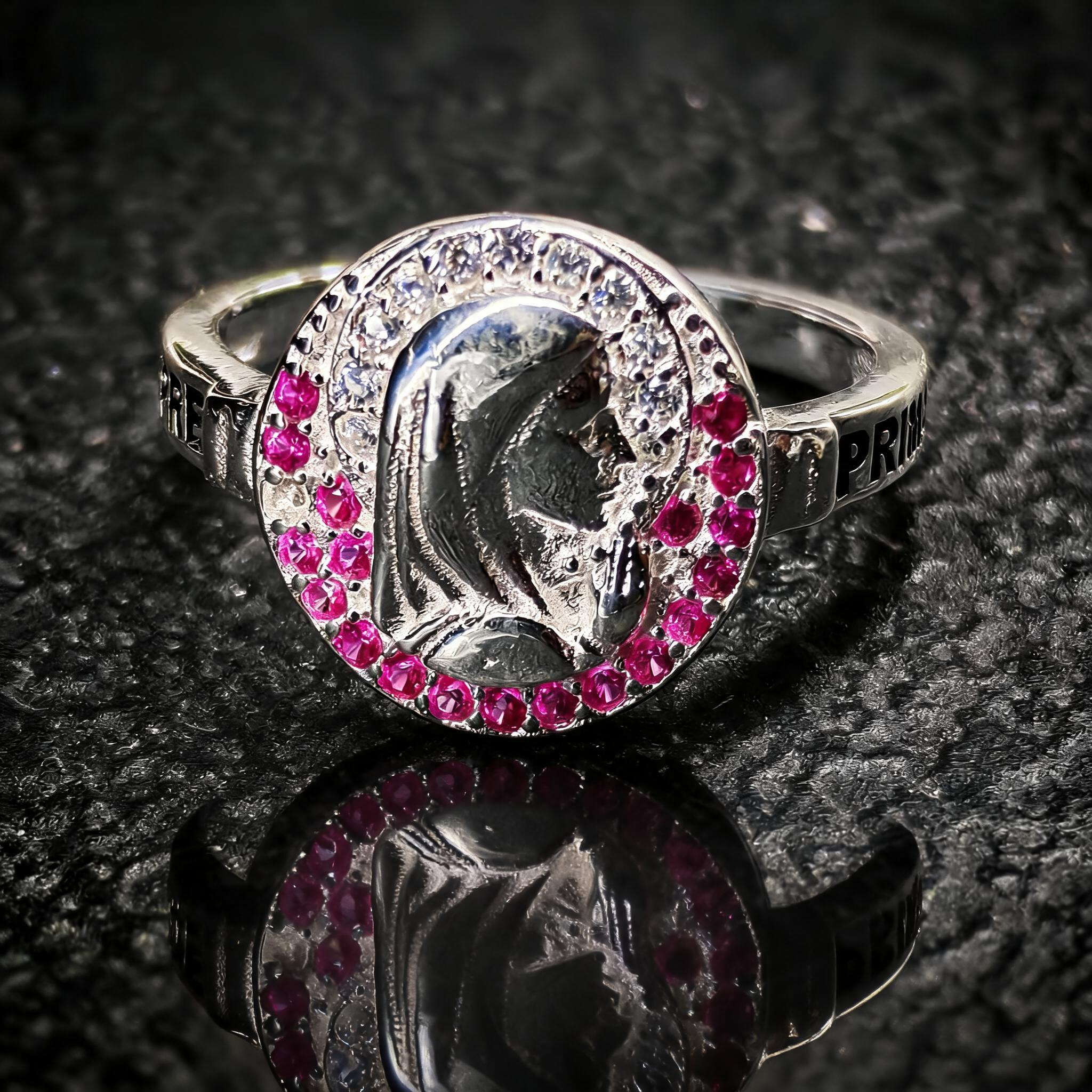 Anillo Preparatoria PP02