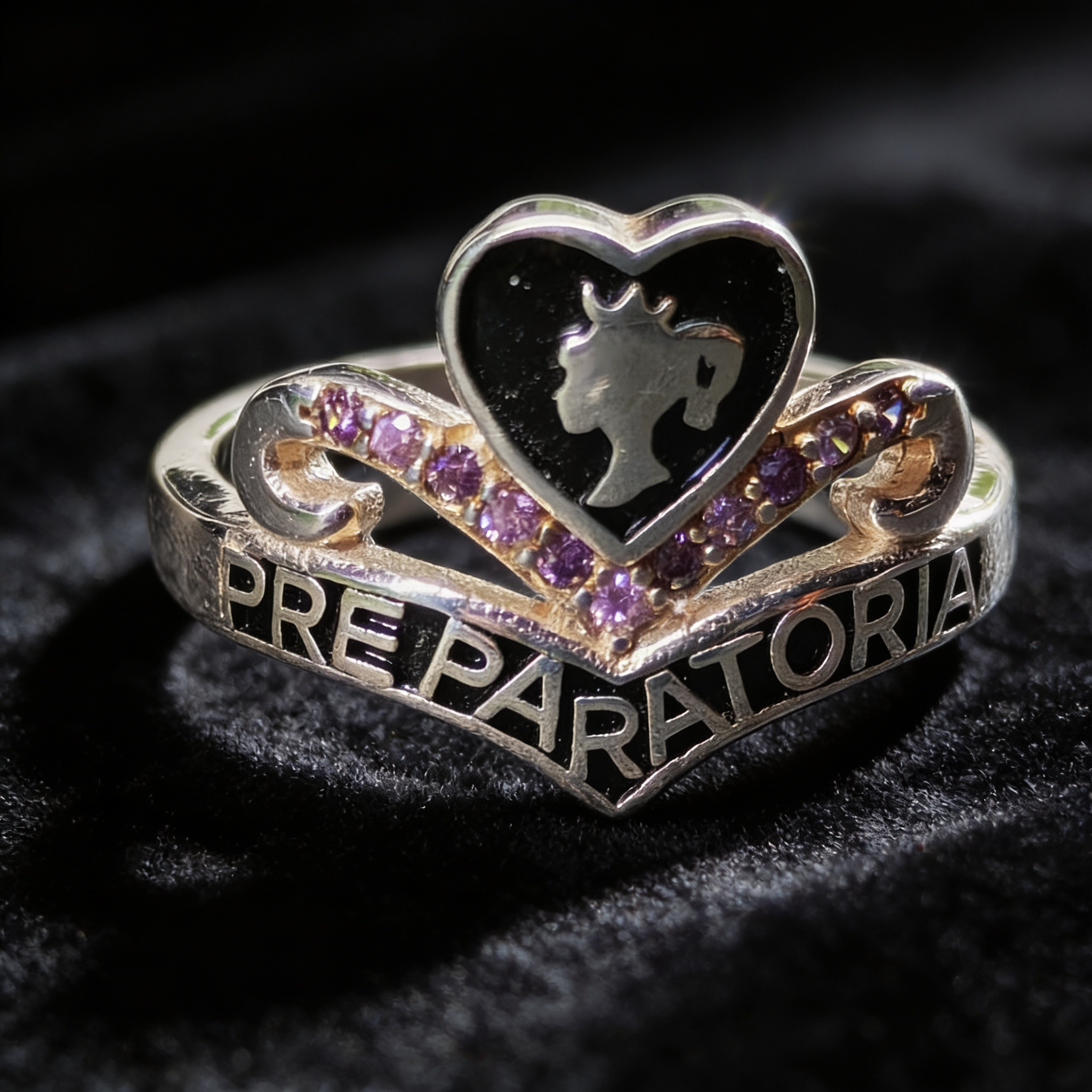 Anillo Preparatoria PP23