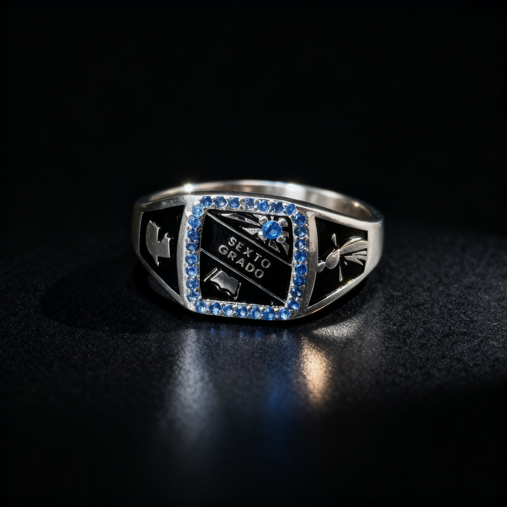 Anillo Sexto Grado SG-SX-F12