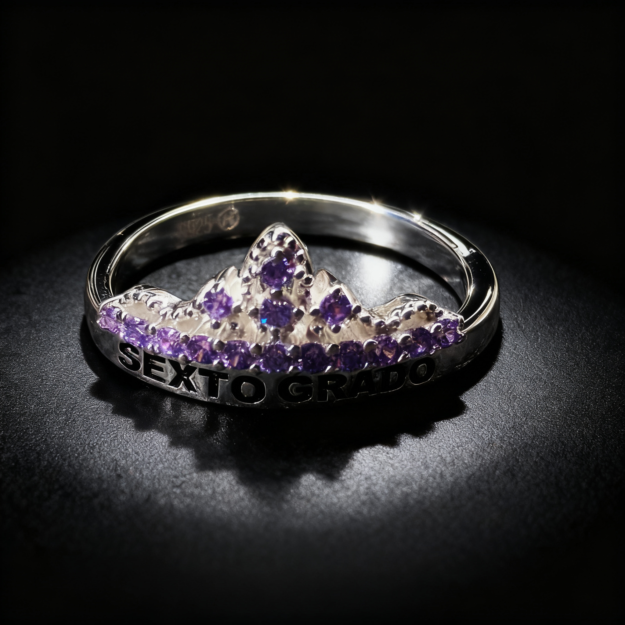 Anillo Sexto Grado SG-SX-F13