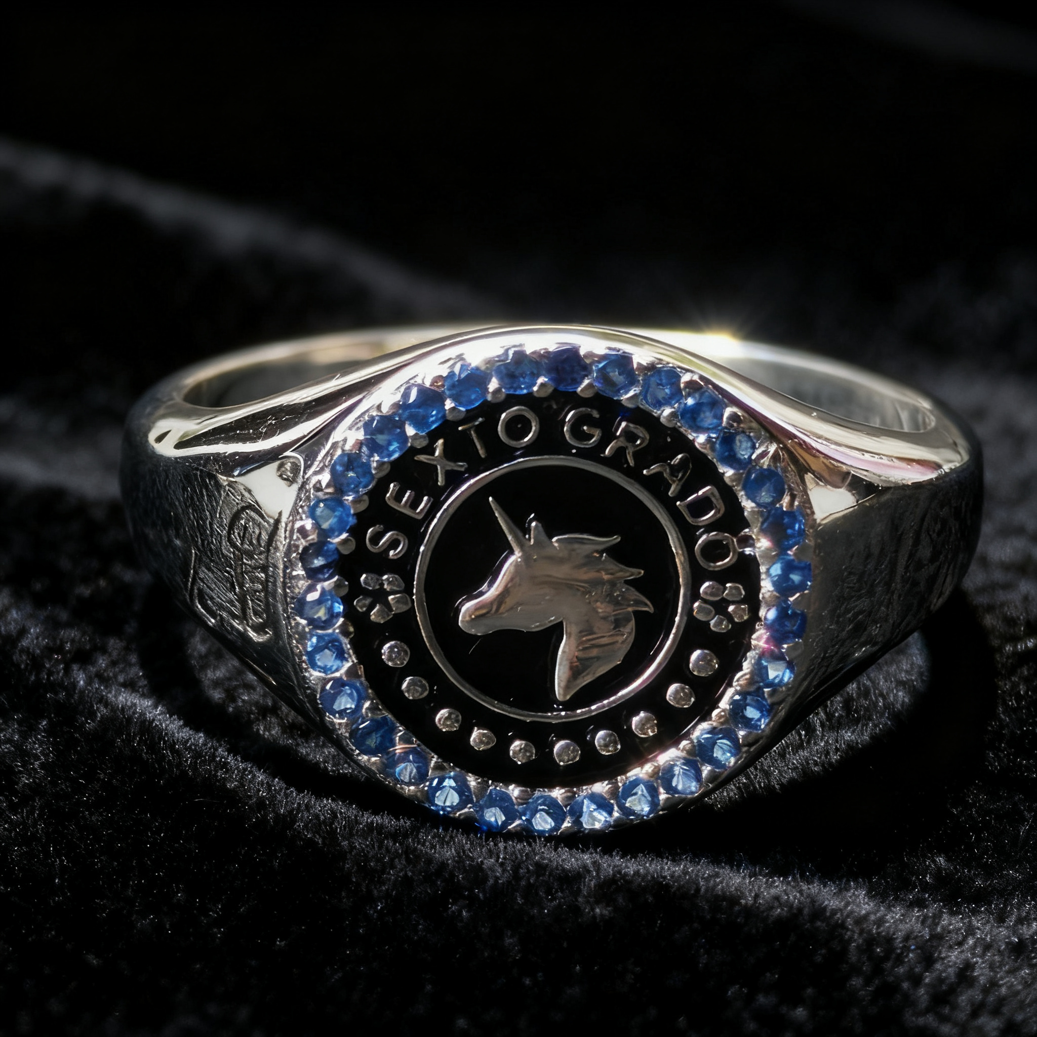 Anillo Sexto Grado SG-SX-F16