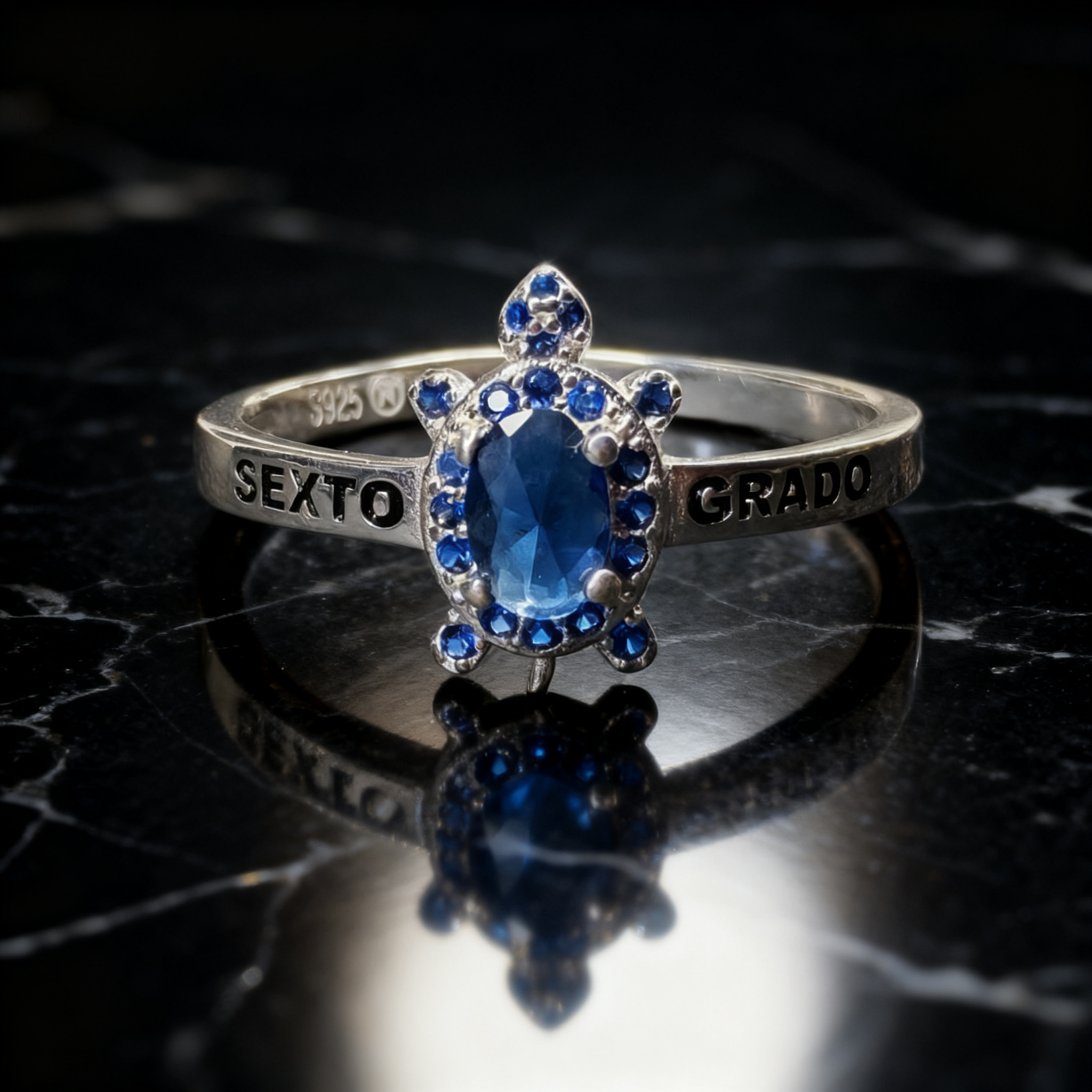 Anillo Sexto Grado SG-SX-F19