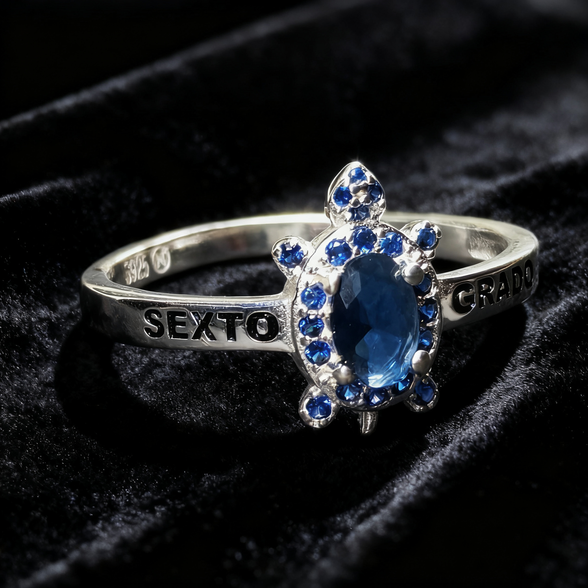 Anillo Sexto Grado SG-SX-F19