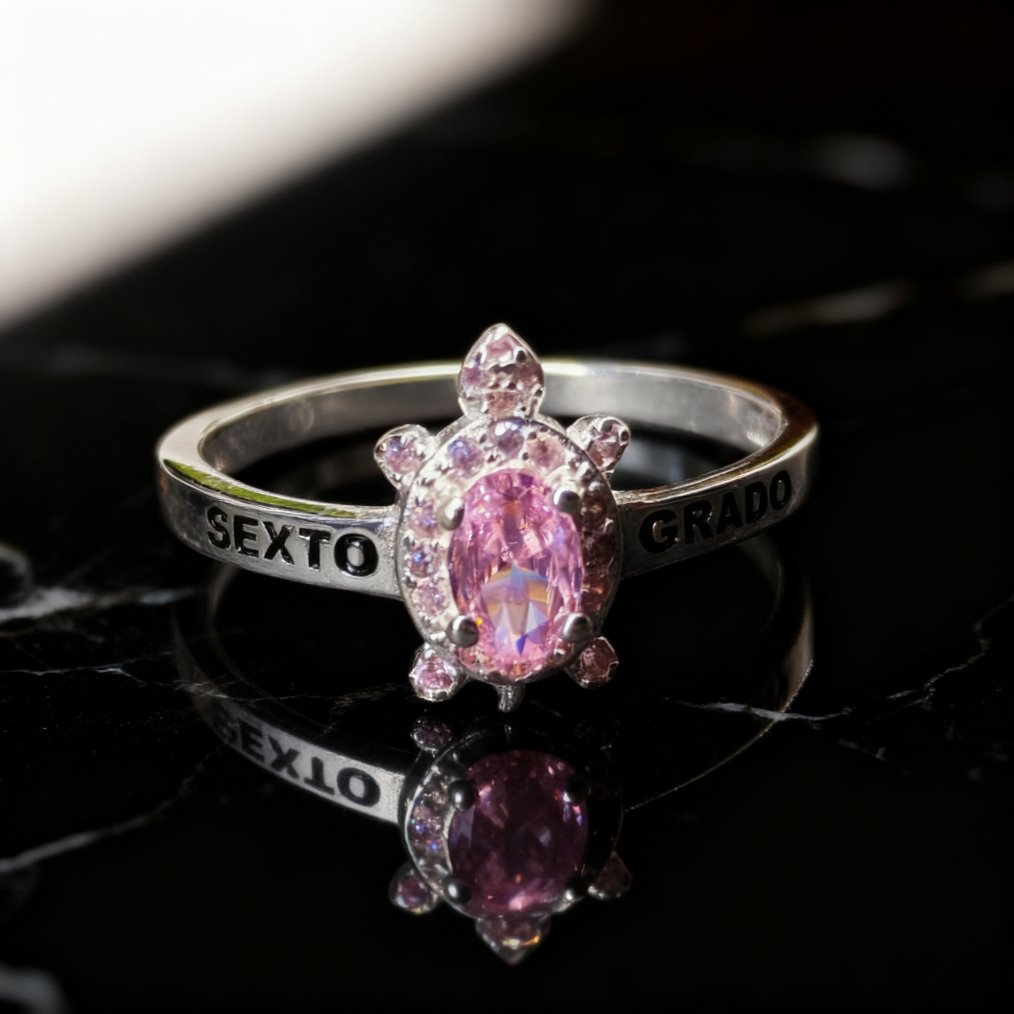 Anillo Sexto Grado SG-SX-F19