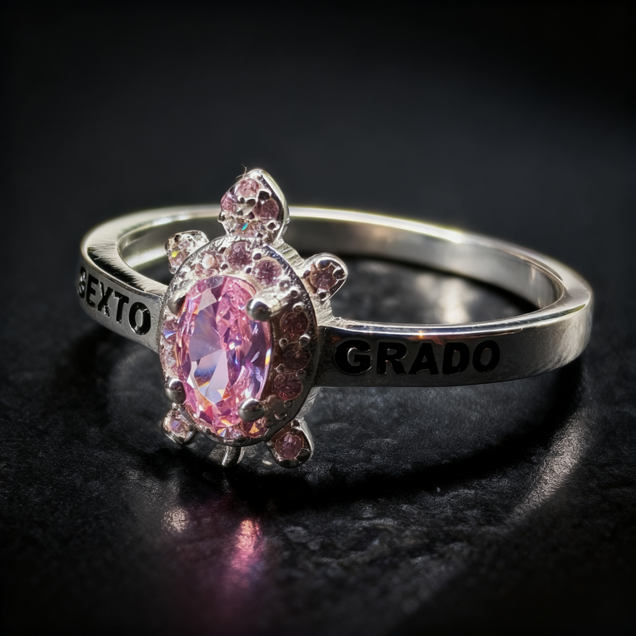 Anillo Sexto Grado SG-SX-F19