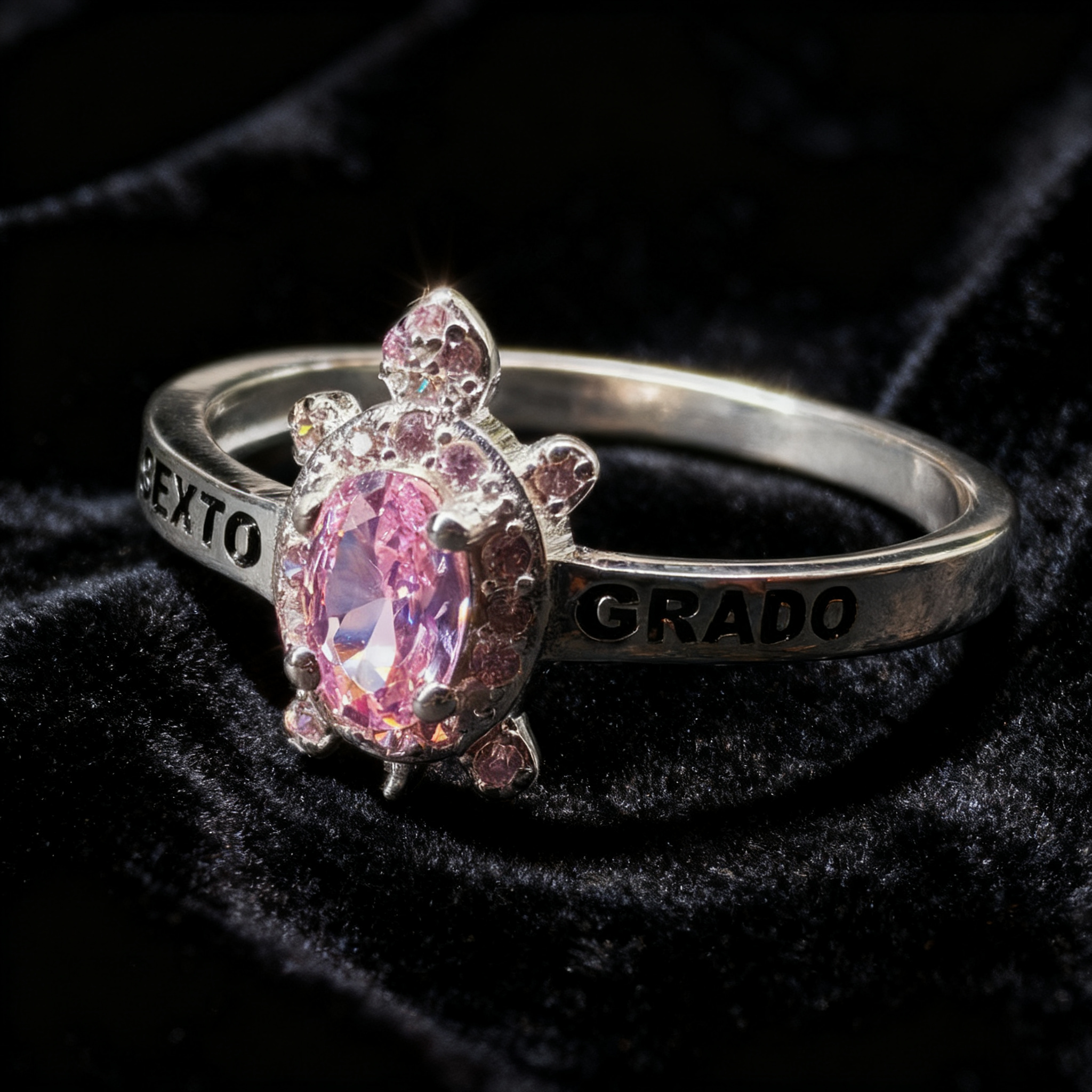 Anillo Sexto Grado SG-SX-F19
